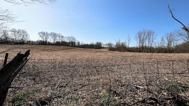 0 Vl Hoffman St unit LotWP001, Vandalia, MI 49095 - photo 7