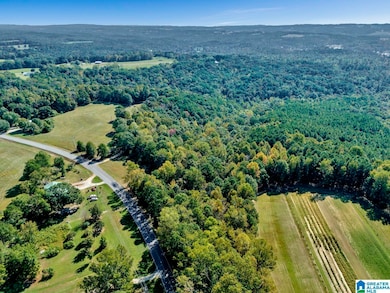 00 County Highway 27 unit 6, Oneonta, AL 35121 - photo 5