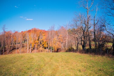DSC_0160 2