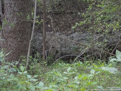 24802 N Saddle Trail, San Antonio, TX 78255 - photo 6