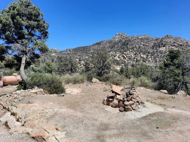 Back Yard View