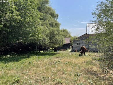 0 Cornucopia Hwy, Halfway, OR 97834 - photo 6