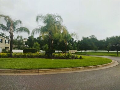 10223 Hawk Storm Ave, Tampa, FL 33610 - photo 3