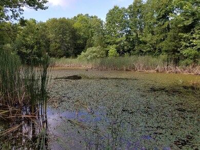 20180622_093639 (Copy)