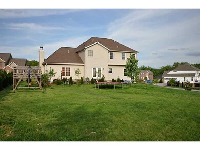 Yard/Garden.