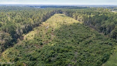 2835 Pikeville-Princeton Rd, Pikeville, NC 27863 - photo 3