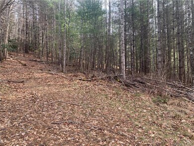 0 Doan Town Rd, Cane River, NC 28714 - photo 5