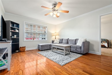 Cozy living room