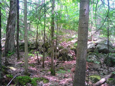 7 Jude Blvd, Ossipee, NH 03864 - photo 5