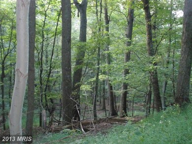 175 S Branch Mountain Rd, Moorefield, WV 26836 - photo 3