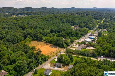 2225 Old Springville Rd unit lot 4-6, Center Point, AL 35215 - photo 5