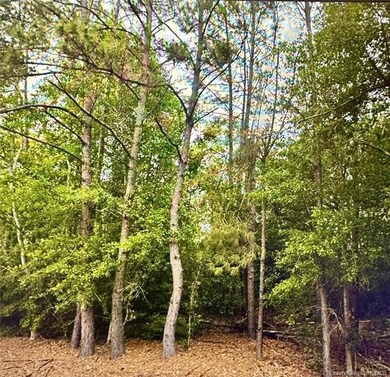 3880 Lloyd Berry Rd, Vinton, LA 70668 - photo 4