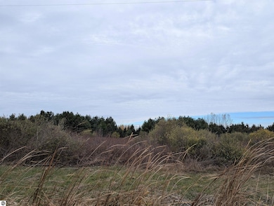 N/A Manor Rd, Au Gres, MI 48703 - photo 3