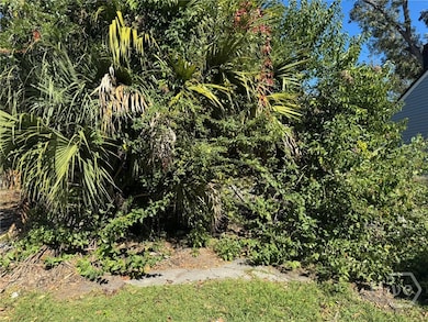 1136 E Waldburg St, Savannah, GA 31404 - photo 5