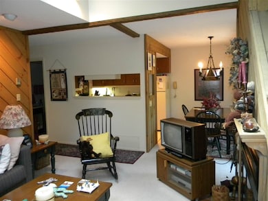 29 Mountain Brook Way unit 3, Waterville Valley, NH 03215 - photo 4