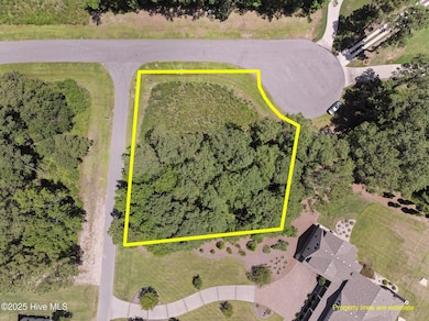 10-web-or-mls-DJI_0963_1