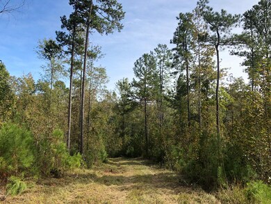 59.65 Ac White Rock Rd, Lincolnton, GA 30817 - photo 7