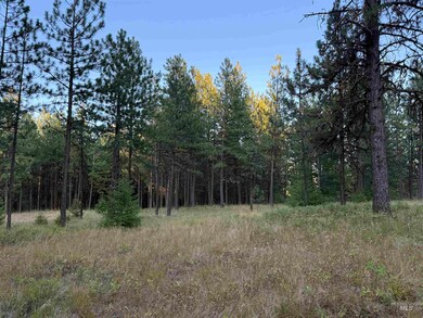 TBD Harlow Ridge Rd - Cloverland Estates 27, Asotin, WA 99402 - photo 7