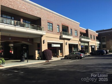 720 Governor Morrison St unit 215, Charlotte, NC 28211 - photo 2