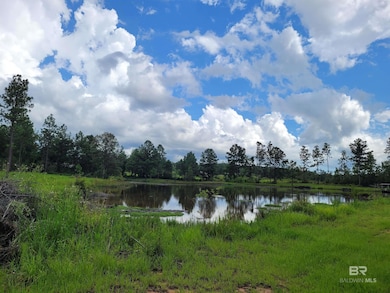 39449 State Highway 59 S, Bay Minette, AL 36507 - photo 5