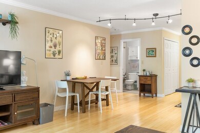 Sumner Hill Condominiums unit 118, Jamaica Plain, MA 02130 - photo 7