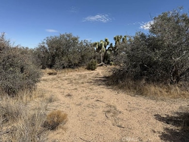 8135 Joshua St, Phelan, CA 92371 - photo 3