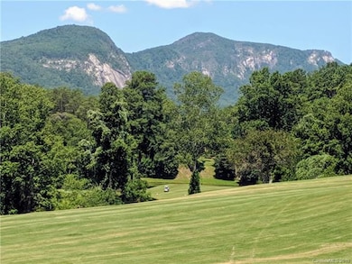 0 Whitney Blvd unit 3527451, Lake Lure, NC 28746 - photo 2