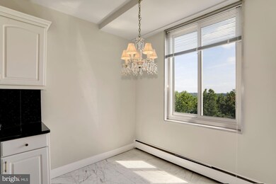 191 Presidential Blvd unit 811, Bala Cynwyd, PA 19004 - photo 7