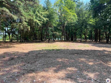 0 Cr 3201 & Cr 3203 unit 117264, Dekalb, TX 75559 - photo 5