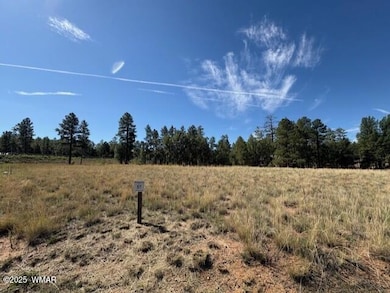 2221 W Edgewater unit Lot 57, Show Low, AZ 85901 - photo 4