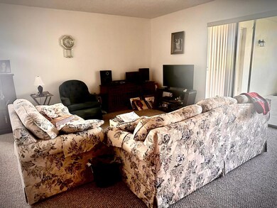 2886 Fernley Dr E unit 850, West Palm Beach, FL 33415 - photo 5