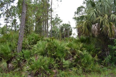 Front of lot.  Mostly wooded.