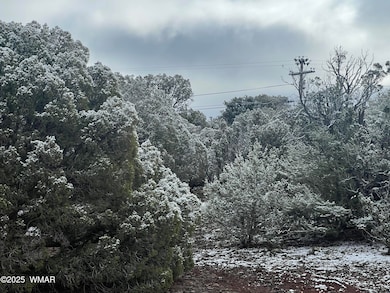 1847 Rocky Bottom Place, Show Low, AZ 85901 - photo 4