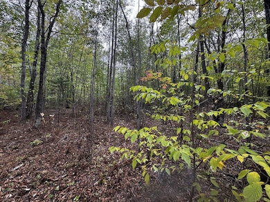 P/O M11 L45a Pease Hill Rd, Anson, ME 04911 - photo 4