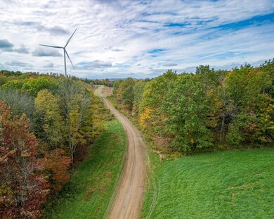 0 Downey Rd, West Union, NY 14877 - photo 5