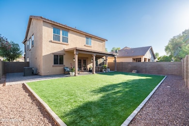grassy backyard