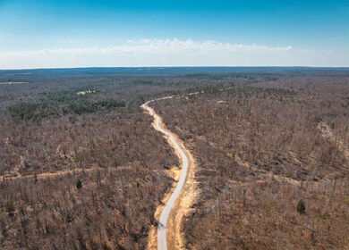 DJI_20240321134746_0137_D