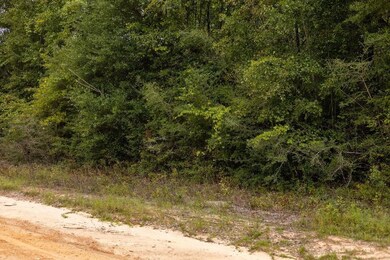 0 Pike Pond Rd unit 25388252, Alford, FL 32420 - photo 5