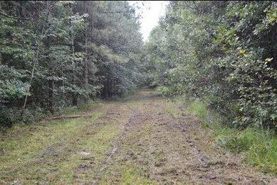 26.8 Acres Jimi Brumfield Rd, Franklinton, LA 70438 - photo 3