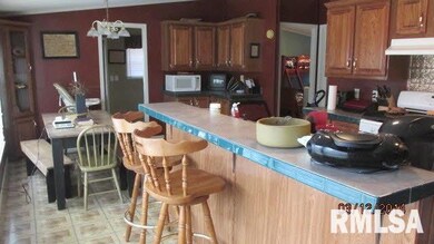 1913 Chestnut St, Harrisburg, IL 62946 - photo 3