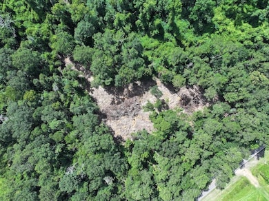 La Hwy 1058 unit LotWP001, Kentwood, LA 70444 - photo 5