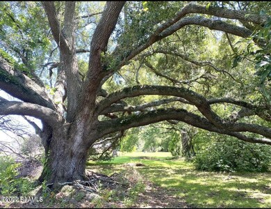 W Willow grounds
