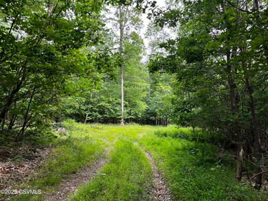 IMG-3267