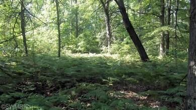 0 W Woodland Park Dr unit PAR D 13049198, Merrill Township, MI 49309 - photo 6