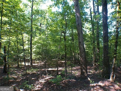 0 Briarpatch Dr unit 10562648, Covington, GA 30014 - photo 4