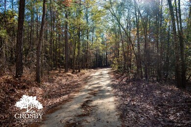 Tbd Revolutionary Trail, Allendale, SC 29810 - photo 2