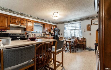 320 Willard Ave, Lincoln, IL 62656 - photo 4