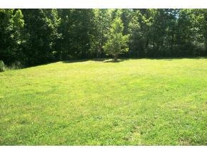 Front Lawn