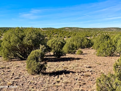 0 Kirkland Dr 20 Acres unit 258779, Concho, AZ 85924 - photo 7