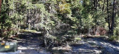 747 Spring Hill Rd, Kila, MT 59920 - photo 7